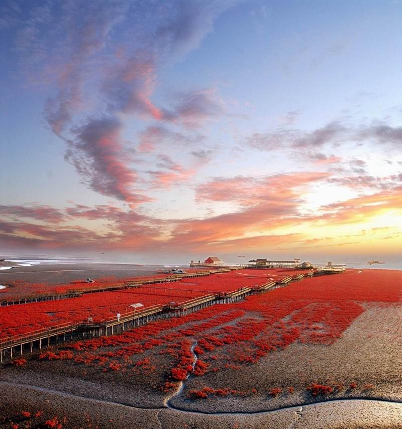 318677xcitefun-red-sea-china-13