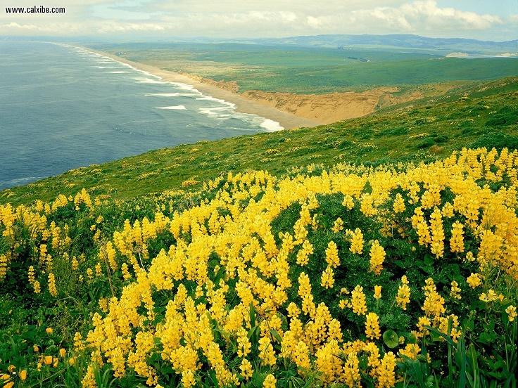 Point Reyes National Seashore