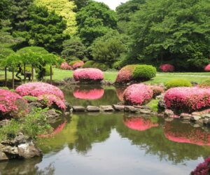 Top 10 Beautiful Places in Japan for Nature Lovers