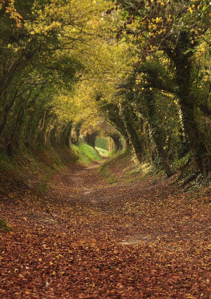 Halnaker-Mill-England