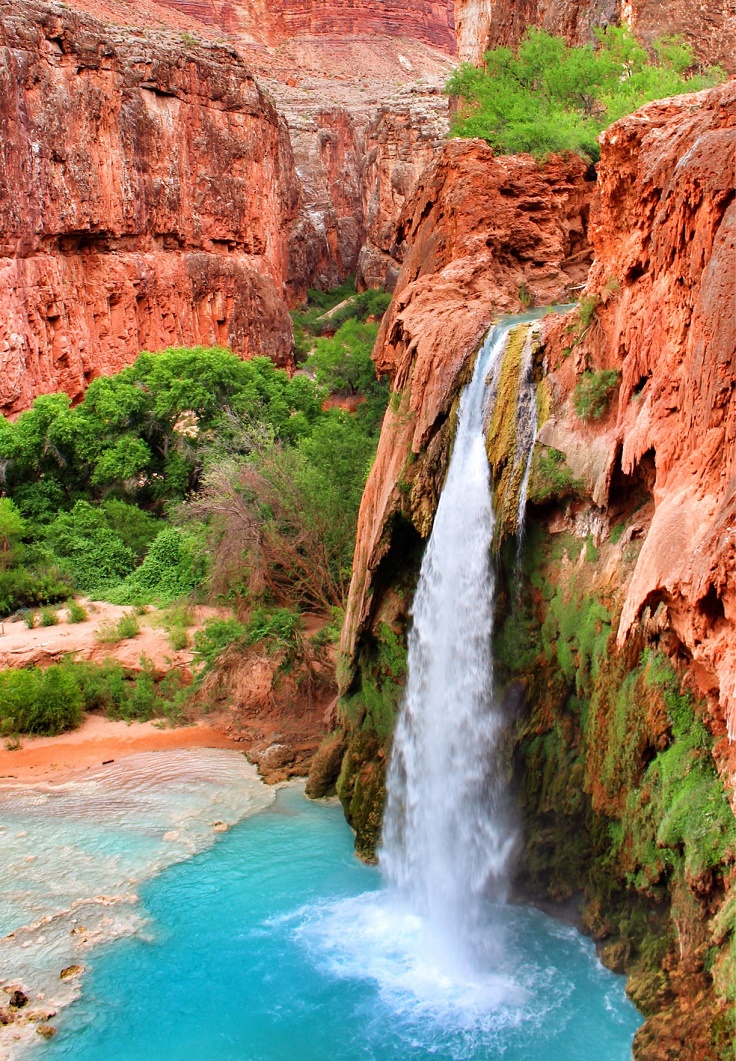 Havasu-Falls-Arizona-1