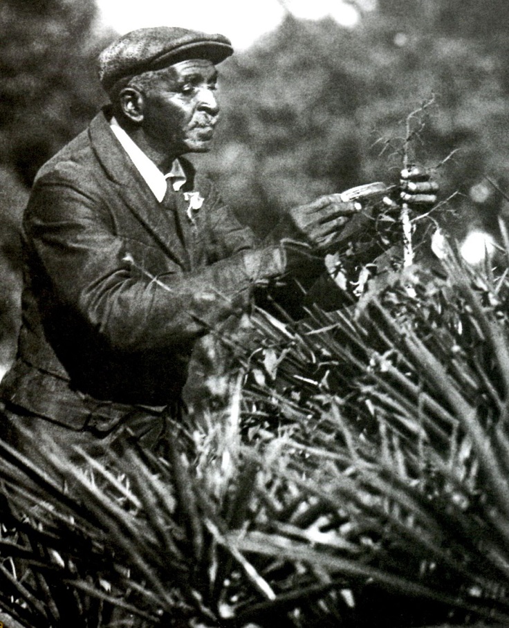 George-Washington-Carver-Inspecting-a-Plant.