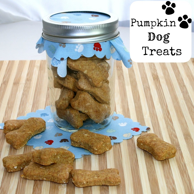 Pumpkin-Dog-Biscuits