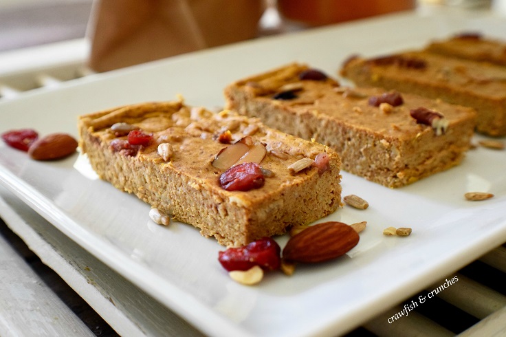 Pumpkin-Protein-Bars