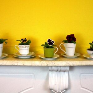 Teacups-as-Planters-300x300
