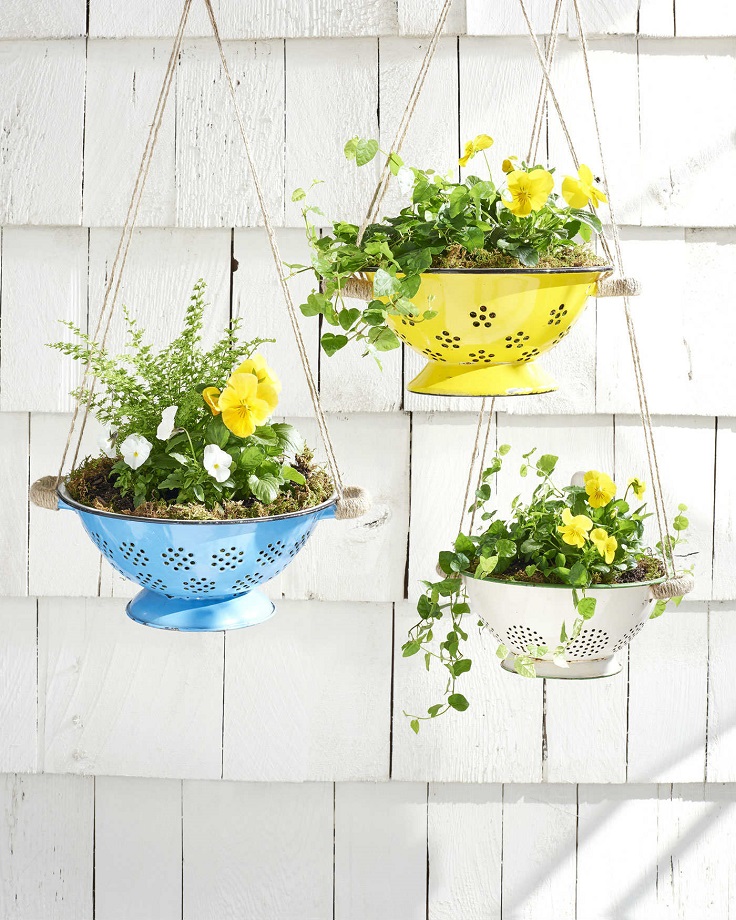 Colander-Garden