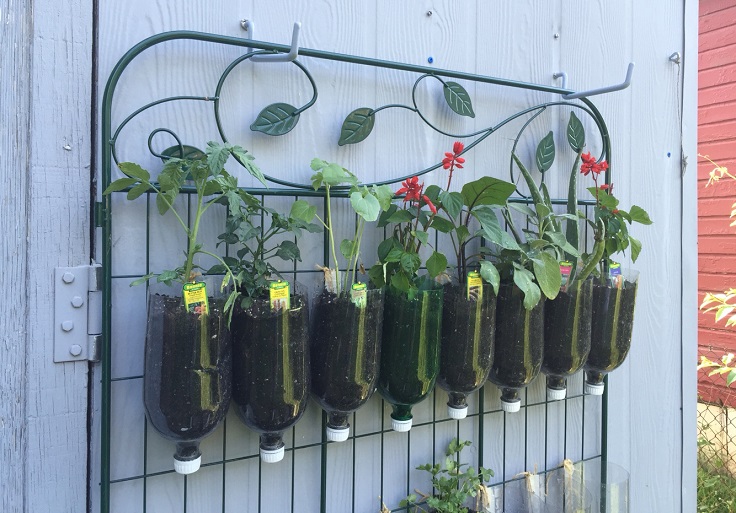 DIY-Vertical-Garden-with-Bottle-Pots