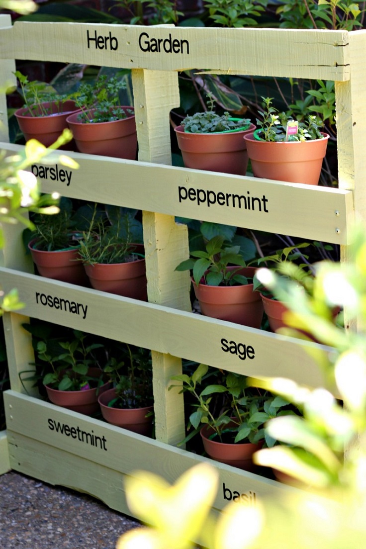 Pallet-Vertical-Herb-Garden