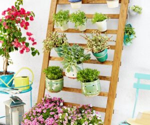 Top 10 DIY Vertical Garden Ideas to Try This Spring
