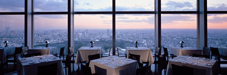 Park-Hyatt-Tokyo-New-York-Grill-window-view