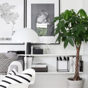 ugens-planteguide-flettet-pengetrae0-300x300