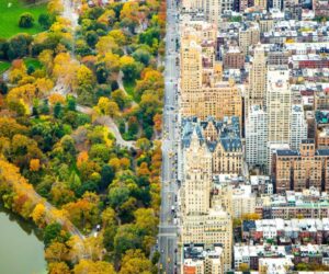 Top 10 Best Public Parks to See While in NYC