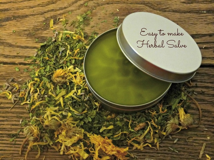 Herbal-Plantain-Salve