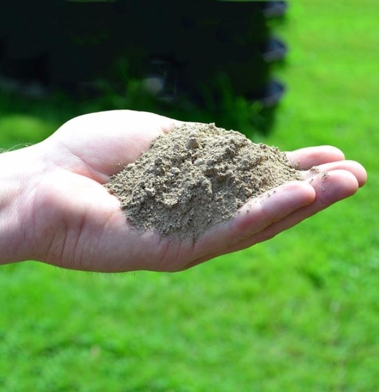 Top 10 Ways to Improve Your Garden Soil Naturally Without A Compost