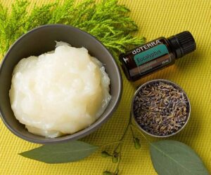 Top 10 Homemade All-Natural Salves For Healing Purposes and Healthy Skin