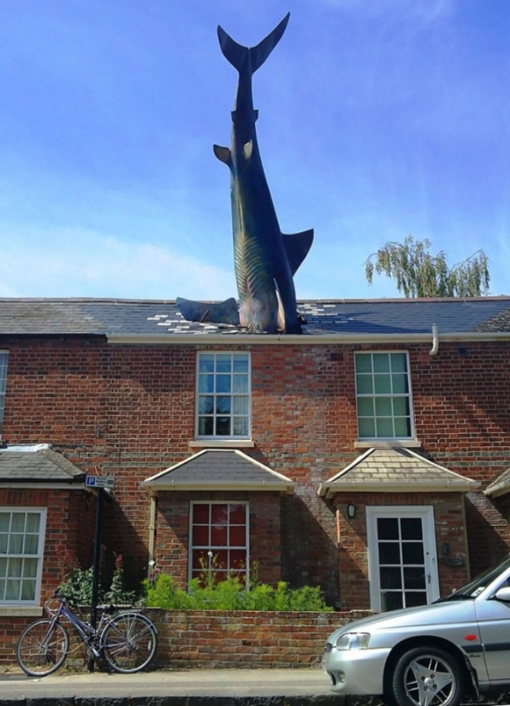 Headington-Shark-Oxford-Britain