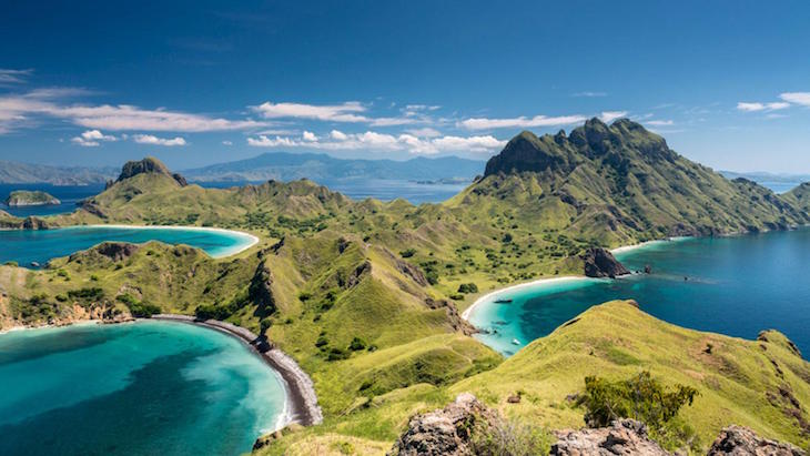 TOPKomodo TOPKomodo