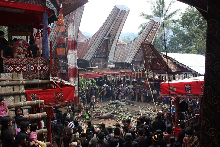 TOPTana_Toraja_Salu_funeral_6823105668 TOPTana_Toraja_Salu_funeral_6823105668