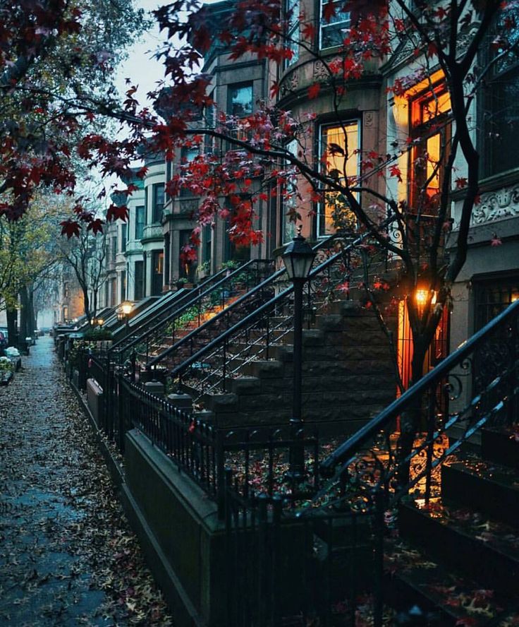 Fall-in-Brooklyn