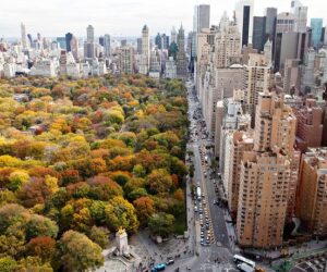 Top 10 Autumn in New York Photos That Will Make You Wish You Were There