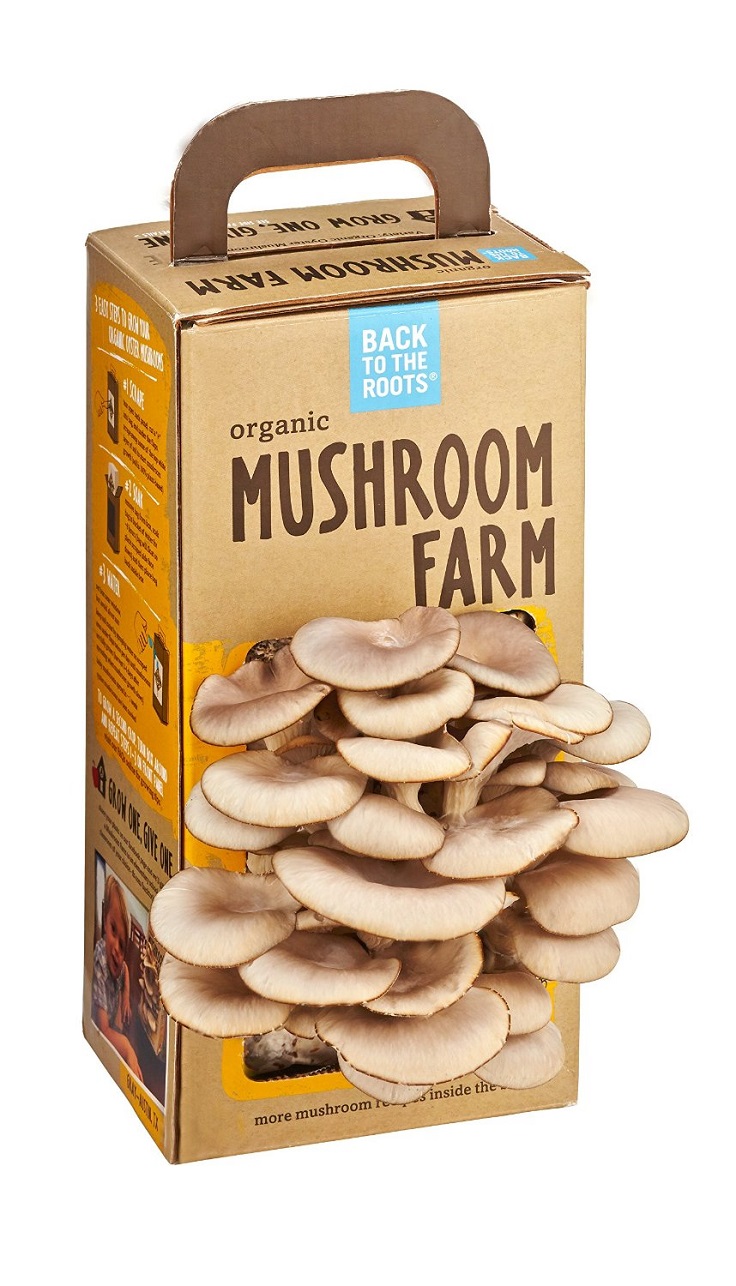 Mushrooms