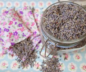 Top 10 DIY Potpourri Recipes That Will Give Your Home the Best Scent