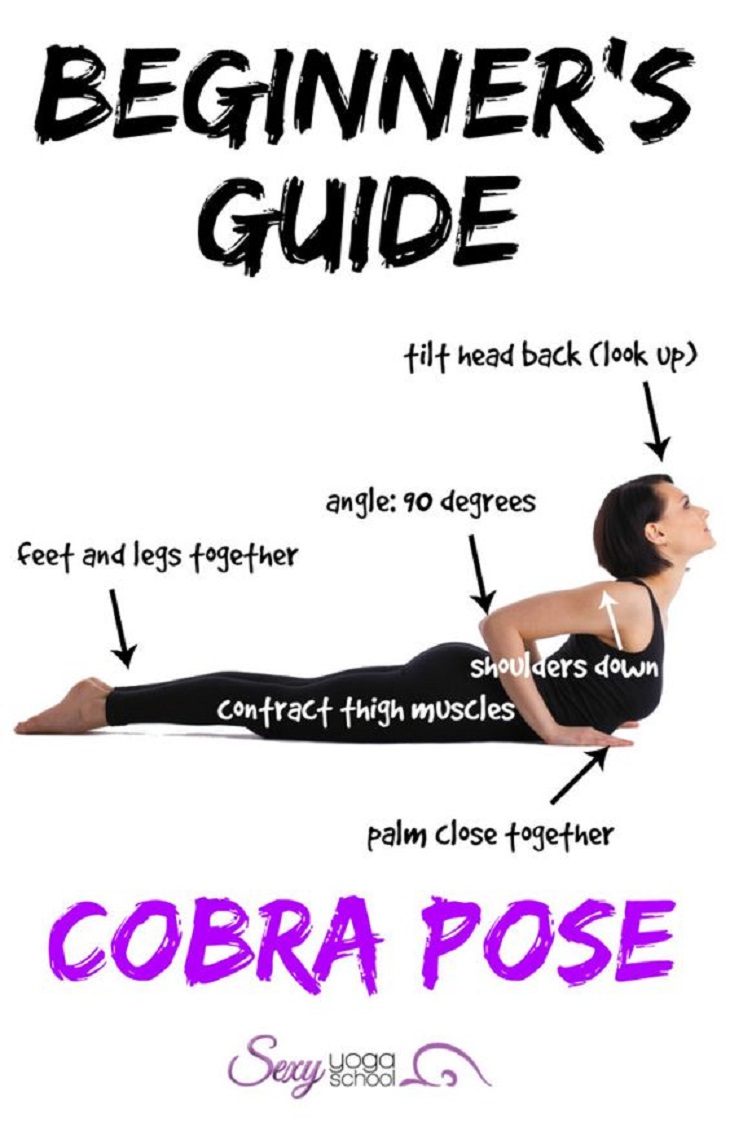 cobra cobra