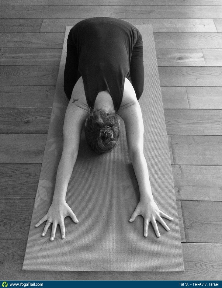 yoga-pose-childs-pose-2557-1 yoga-pose-childs-pose-2557-1