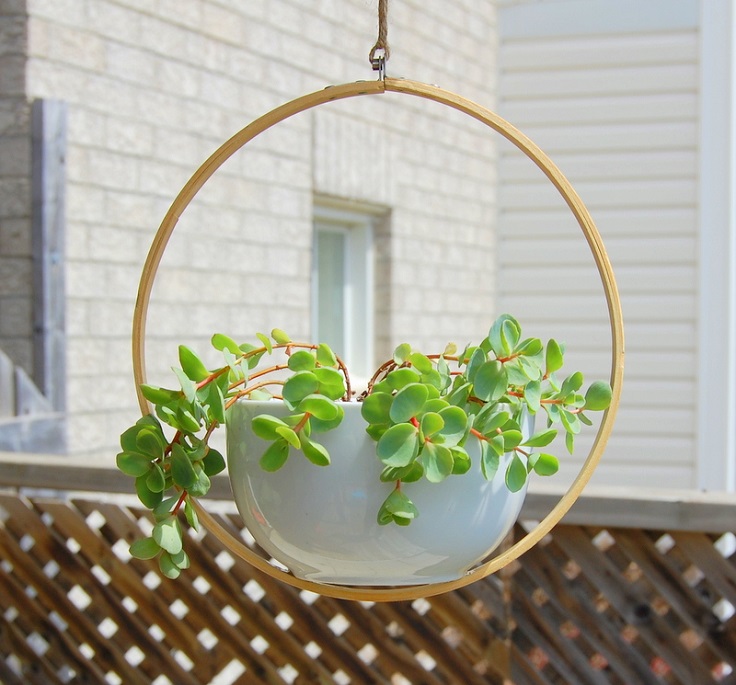 Planter-with-Embroidery-Hoop