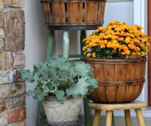 Top 10 Flower Pots That Will Make Your Porch Amazing