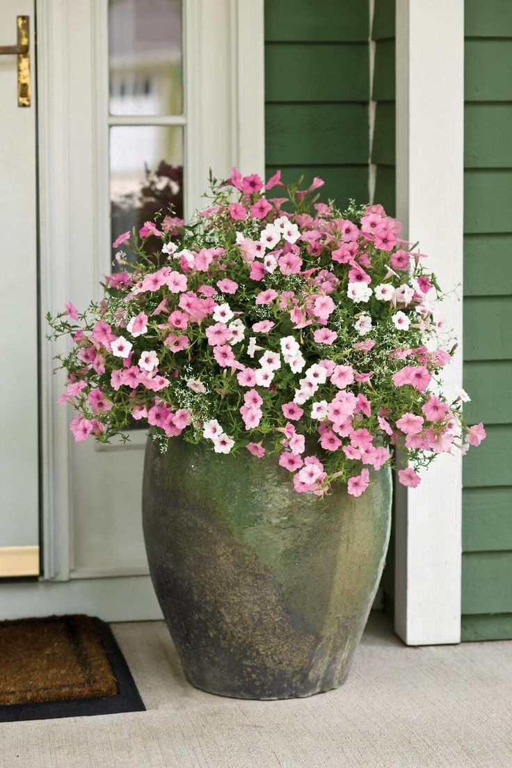 Giant-Clay-Flower-Pot