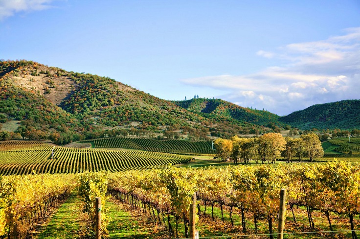 Napa-California