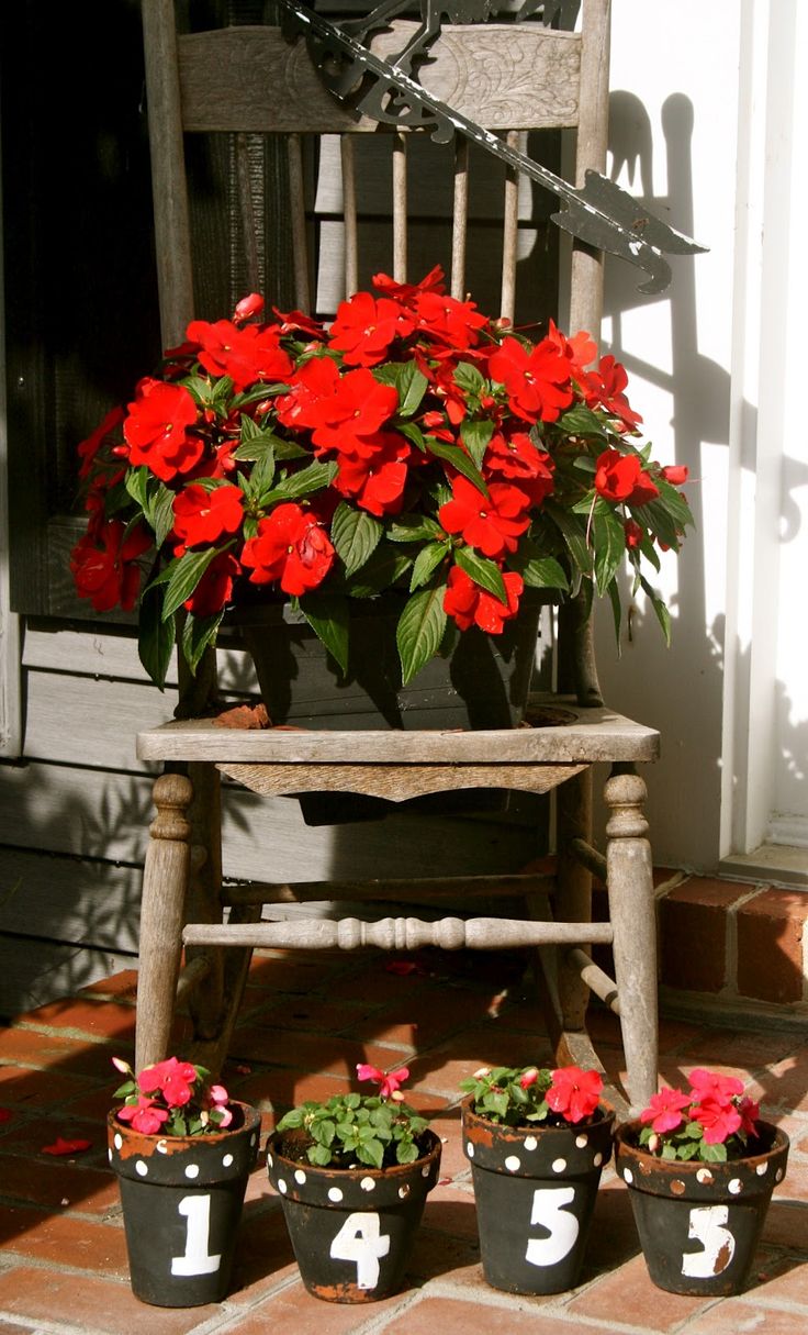 Top 10 Flower Pots That Will Make Your Porch Amazing Top 10 Flower Pots That Will Make Your Porch Amazing