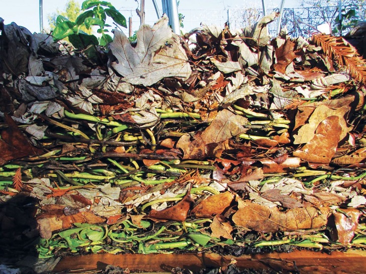 cross-view-lasagna-gardening-layers