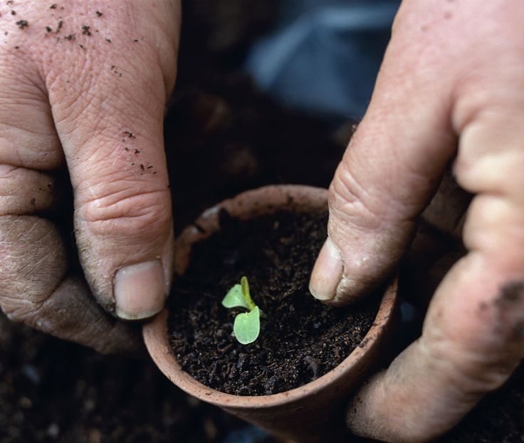 Gardening-Soil