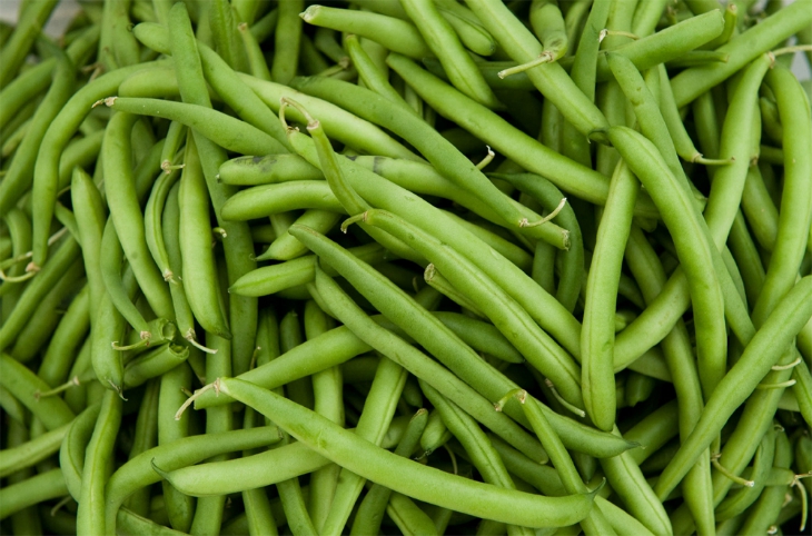 Green-Beans-1
