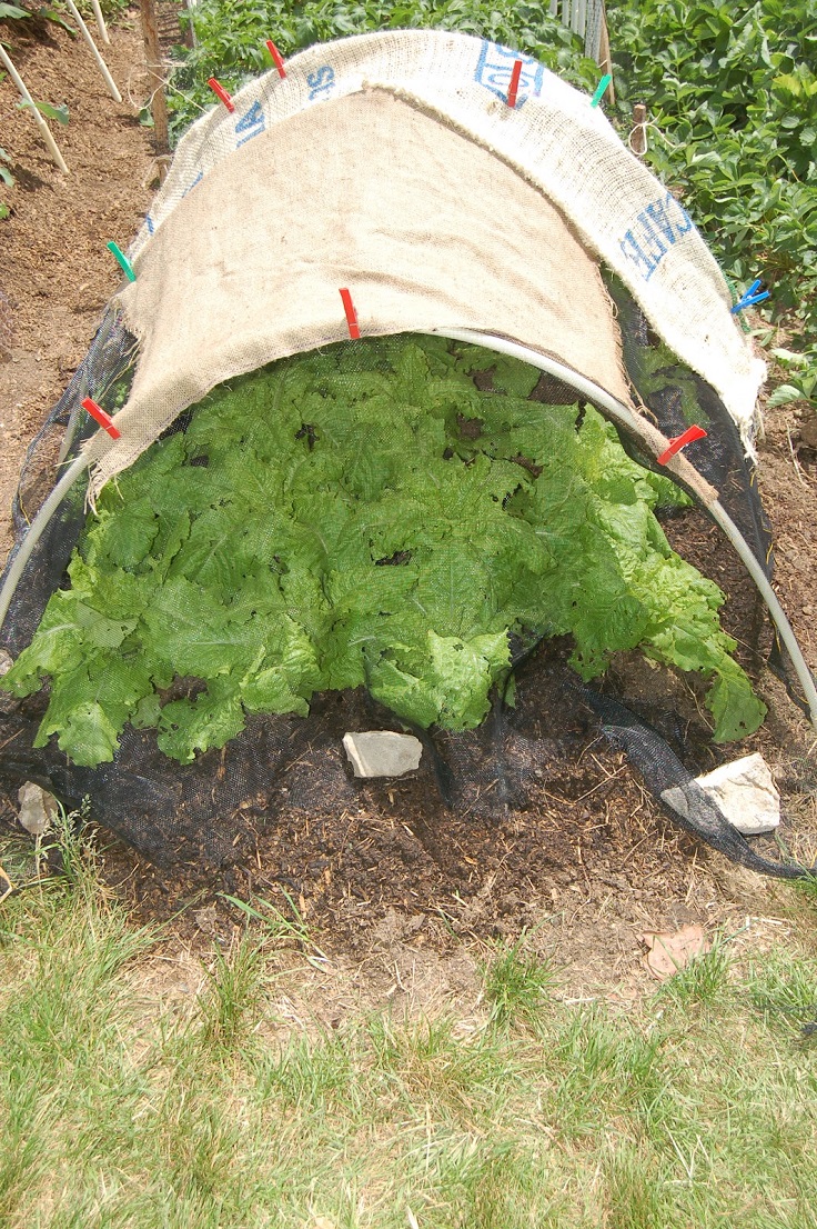 Heat-Protected