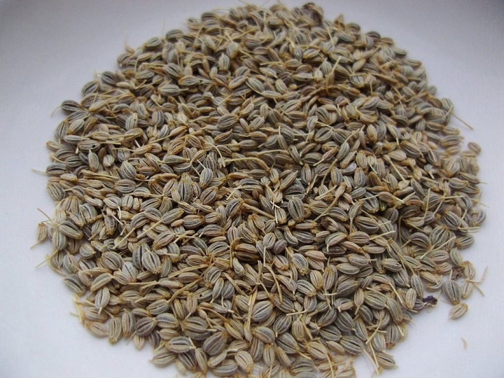 Parsley-Seeds