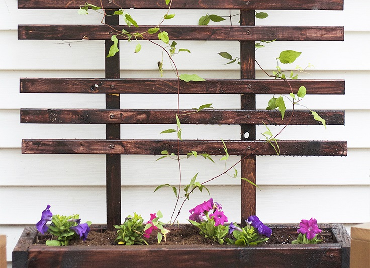 Planter-Trellis