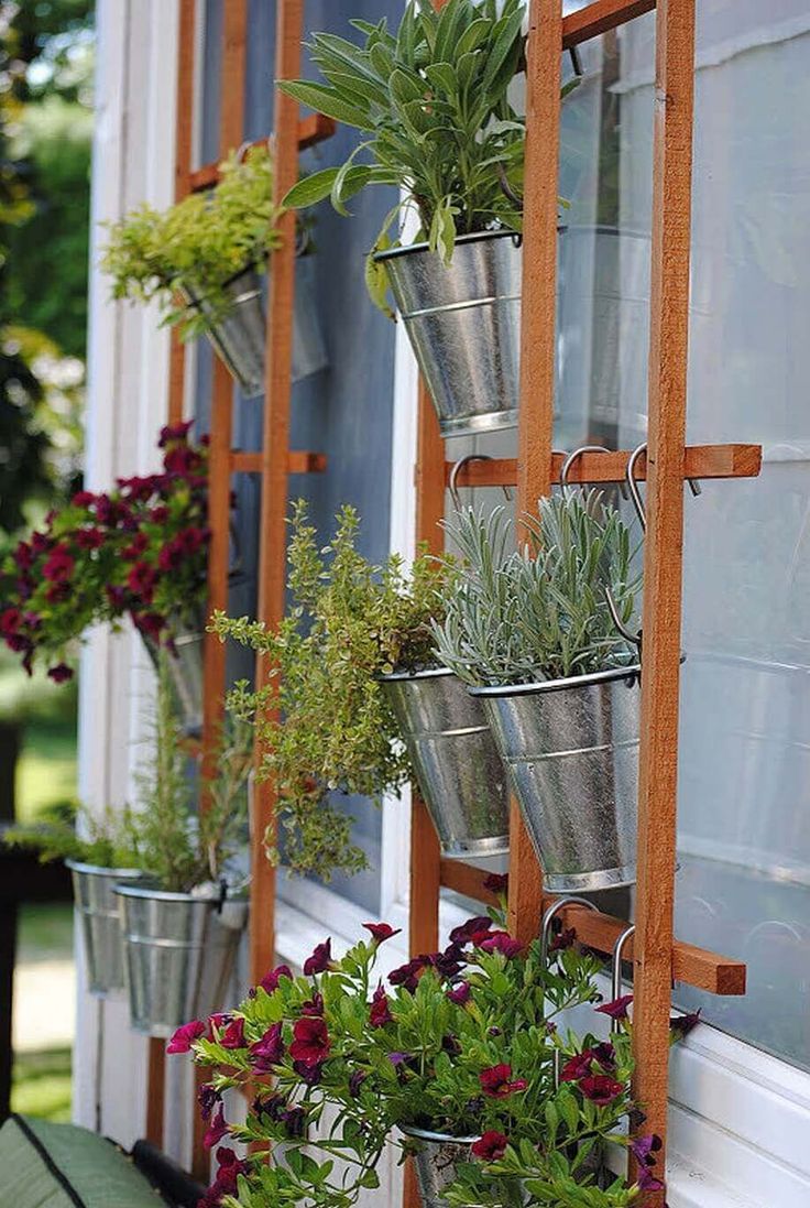Top 10 Gorgeous Trellis Ideas for Your Garden - Page 8 of 10 - Top Inspired