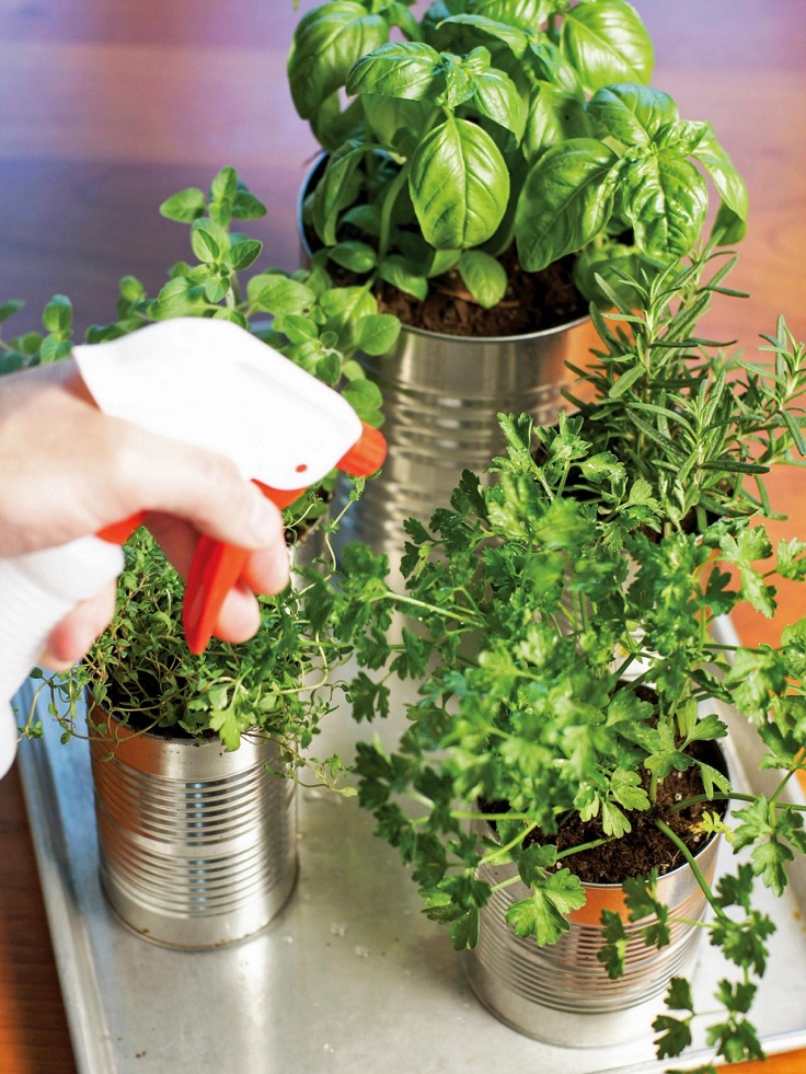 Watering-herbs