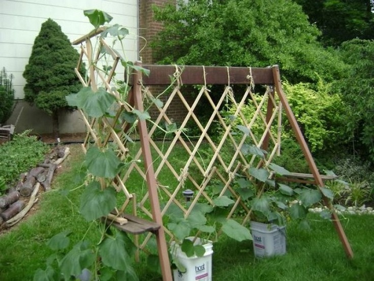 Wooden-Pallet-Trellis