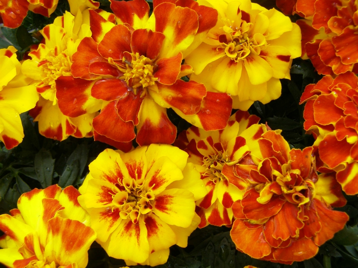 1 1