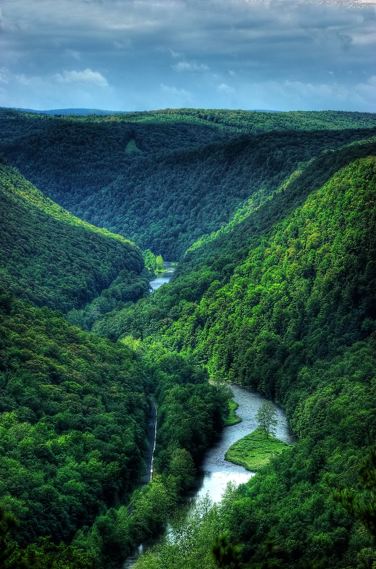 Pine-Creek-Gorge