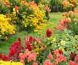 Top 10 Tips About Autumn planting