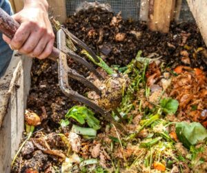 Top 10 Tips For Making Your Own Compost