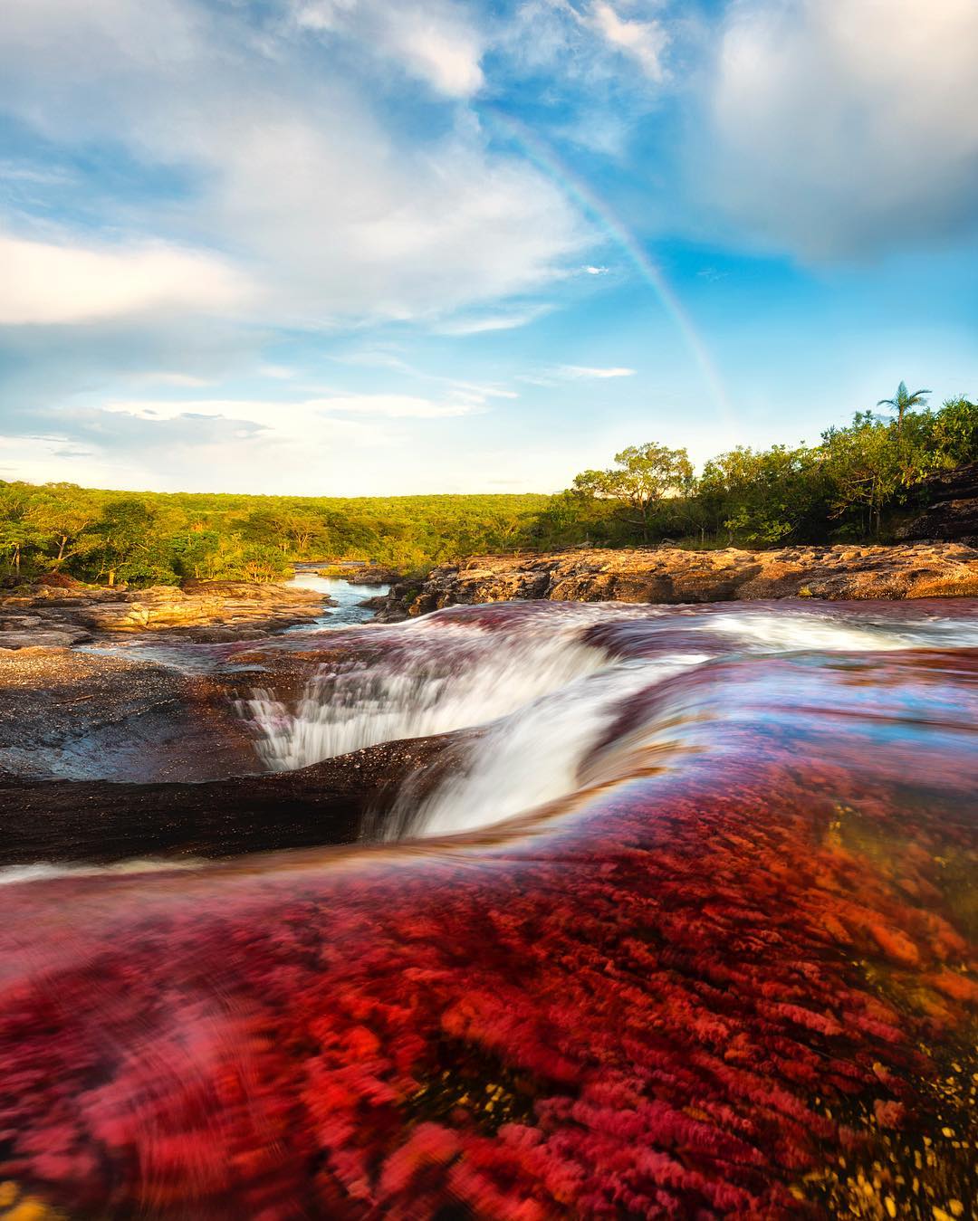 Caño-Cristales