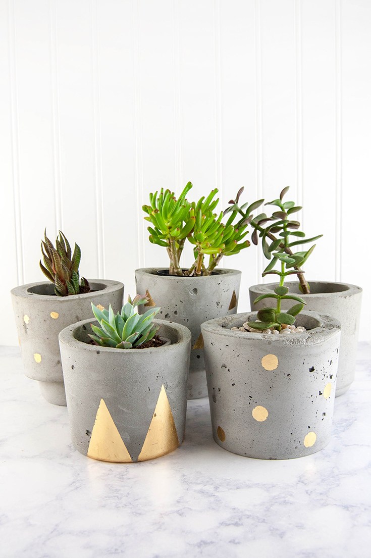 Top 10 DIY Beautiful Indoor Planters - Top Inspired