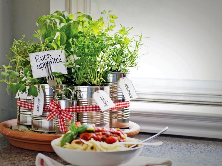 Countertop-Herb-Garden