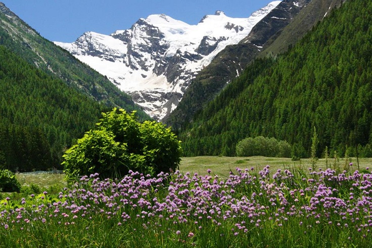 Gran-Paradiso-National-Park